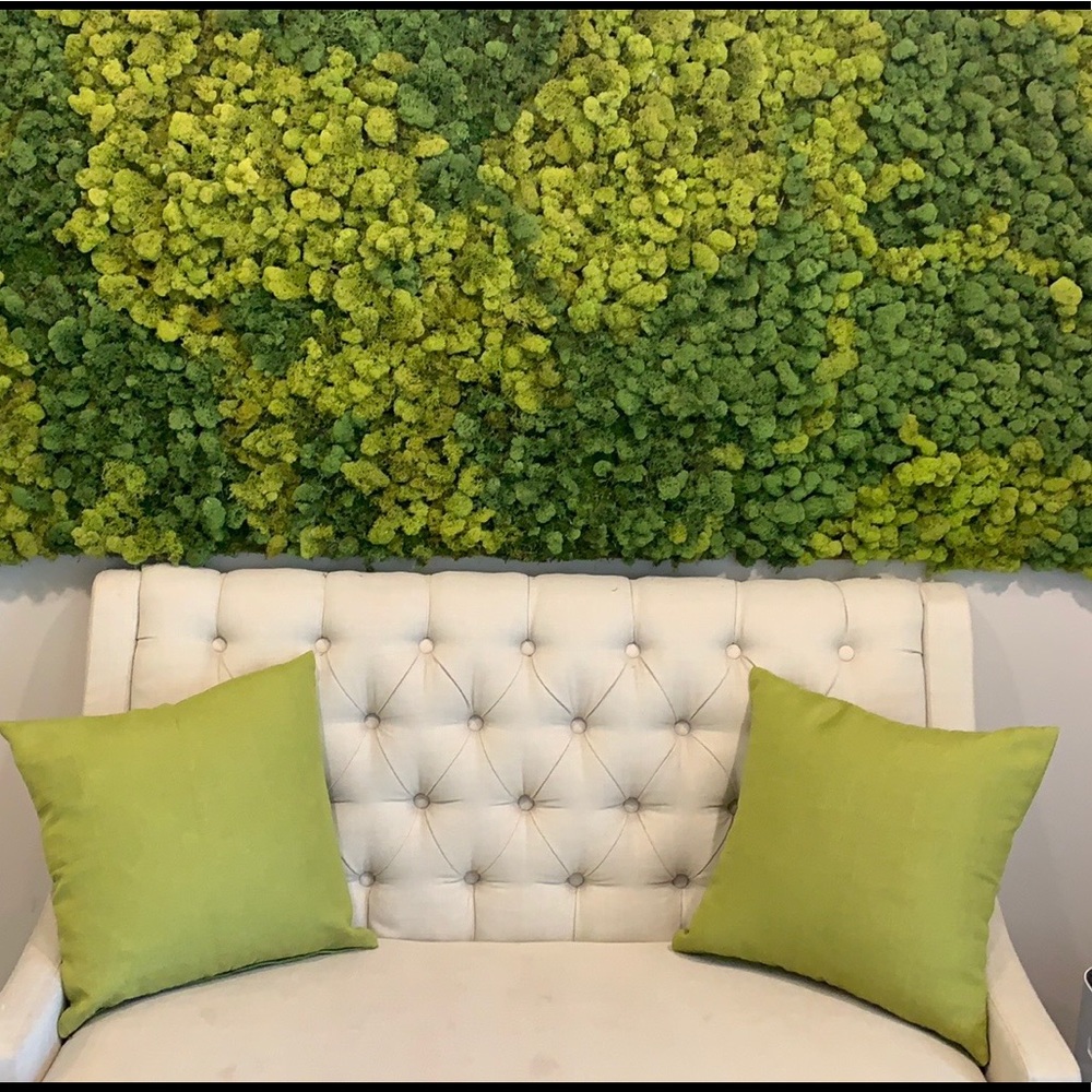 2 Lime Green Pillow Cases 18 x 18 inches Like New